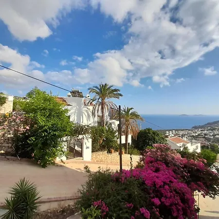 Marquis Blue Bed & Breakfast 4*